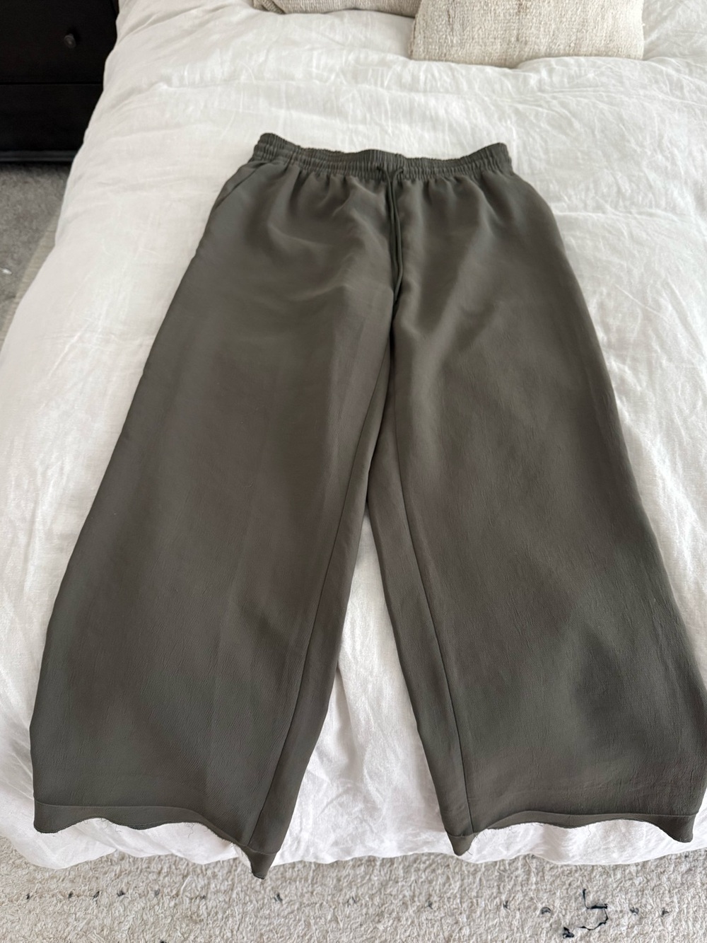 Aritzia Thesis Pants